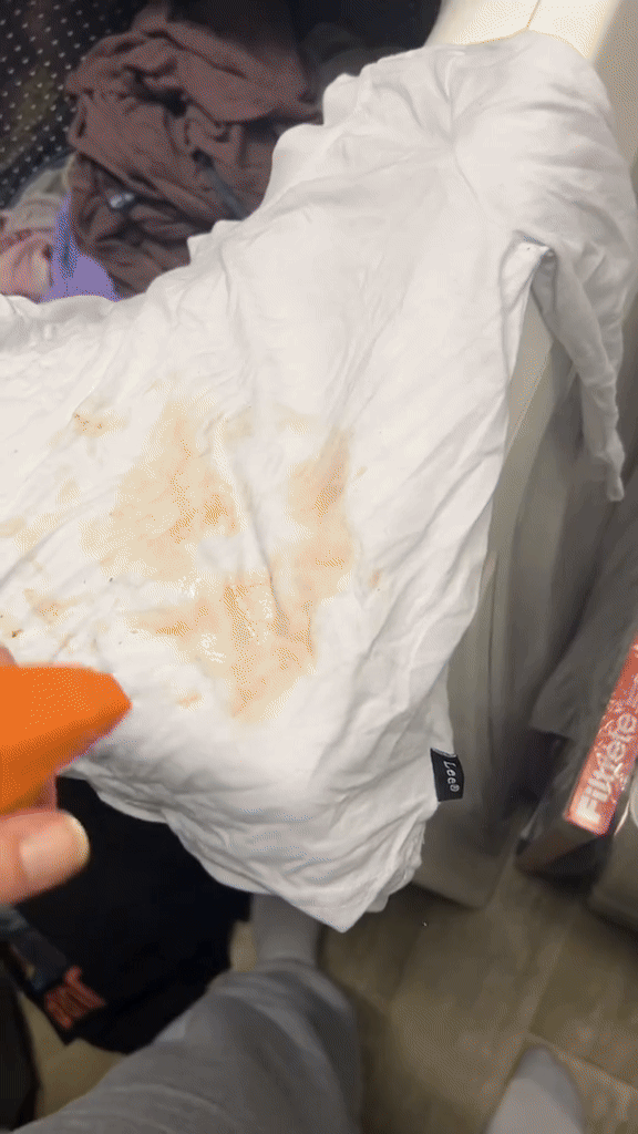 Messy Eater Stain Treater Spray