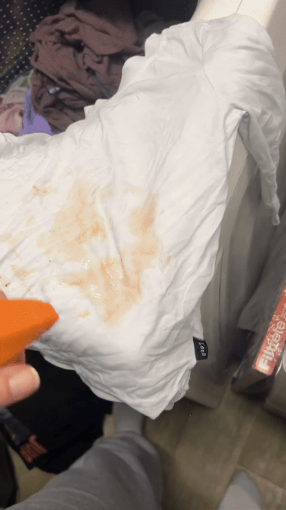 Messy Eater Stain Treater Spray